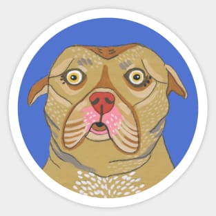 Cute Pitbull Dog Sticker